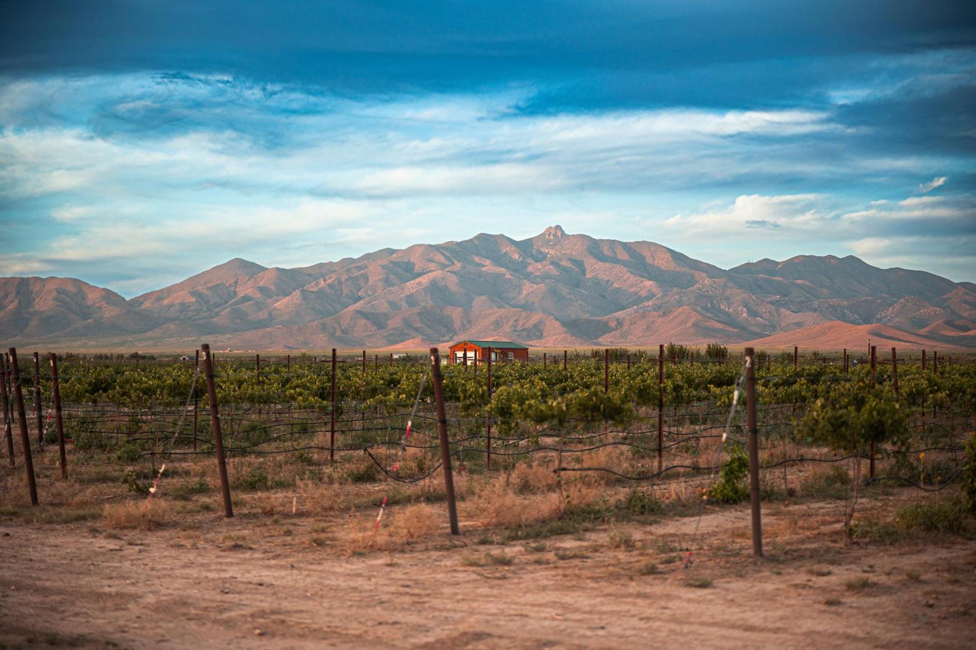 Casa Barbera At Tirrito Farm Villa Willcox Kültér fotó